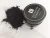 Import Nature Coconut Shell Activated Teeth Whitening Charcoal Powder from China