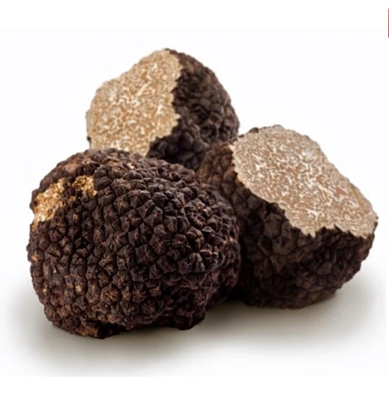 New Crop Fresh Truffle Tuber Indicum for Sale