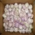 Import New crop low price Supply Fresh White Garlic fresh onion and garlic from China