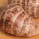 New Crop Sweet Fresh Taro