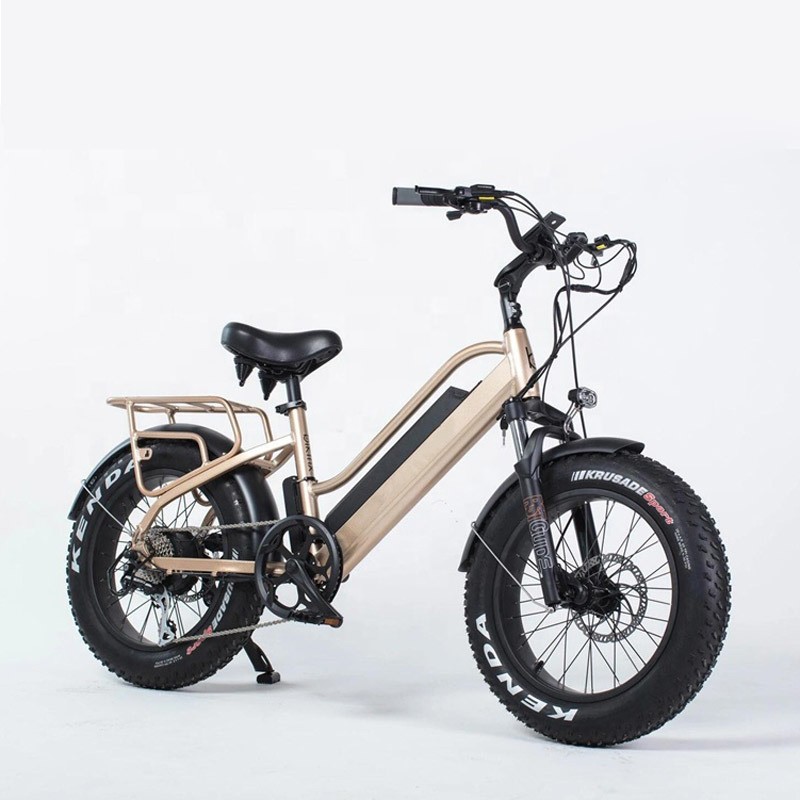 New Design Electric Sports Bike with 500W Motor 13ah Samsung Battery (ML-FB006)