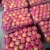 Import New Fresh Fruits Red FUJI Apples from China