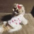 Import New pet clothes lovely strawberry dress baby skirt vest for spring and summer from China