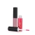 Import New Private Label Long Lasting Crystal Shimmer Matte Lip Gloss from China
