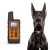 Import New Product Top Orange Electronic Shock Pet Trainer Waterproof Remote Dog Training Collar from China