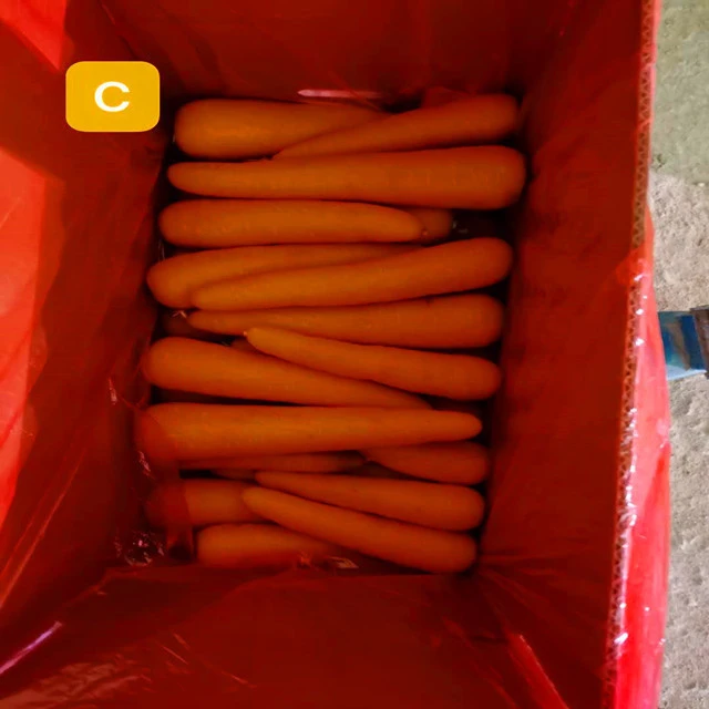 New season fresh carrots made in China vacuum pack fresh carrots fresh vegetables