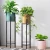 Import Nordic Simple Iron Flower Barrel Shelf Office Floor Plant Shelf Small Apartment Living Room Green Plant Pot Frame from China
