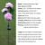 Import OEM 3 heads solar rose light Outdoor solar flower light solar lawn light for garden decorative from China