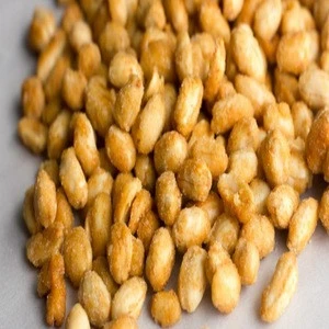 OEM Service Peanuts and Groundnuts At Affordable Price