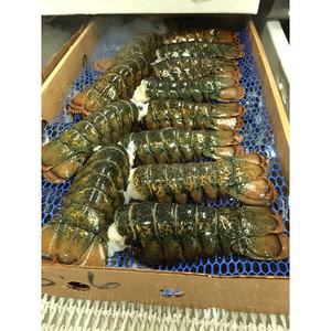 On Sale Nitrogen Frozen De-veined Lobster Tails  Sizes 3/4oz up to 8/10oz