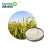 Import Organic Bacillus Amyloliquefaciens growth promoter microbial fertilizer for Plant/Flower from China