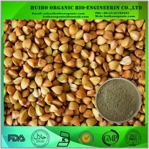 Organic buckwheat kernel /buckwheat seed / buckwheat hull
