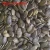 Import organic green pumpkin seeds grown without shell AAA/AA/A/OIL GRADE from China