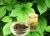 Import Organic Natural Chinese Jiaogulan Leaf  Gynostemma Pentaphyllum Herb Tea Jiaogulan Herbal Tea from China