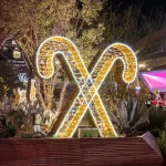 Outdoor 3D LED Christmas Acrylic Candy Cane Lights for Christmas Displays