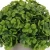 Import plastic artificial topiary boxwood topiary balls bonsai ornamental plants for indoor from China