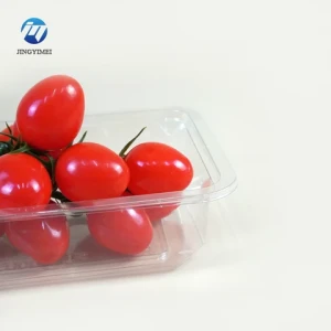 Plastic Fruit Salad Packaging Container Fruits Box Plastic Fruit Container Plastic Hot Selling