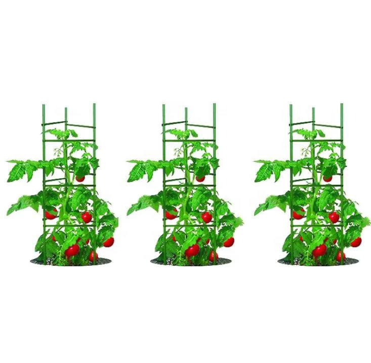 Plastic Garden Stake Metal Plant Support Metal Tomato Cage