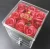 Import PMMA of flower box, Acrylic box for rose, square shape of wedding souvenirs flower box from China