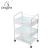 Import portable salon cart/hairdressing trolley/beauty salon equipment from China
