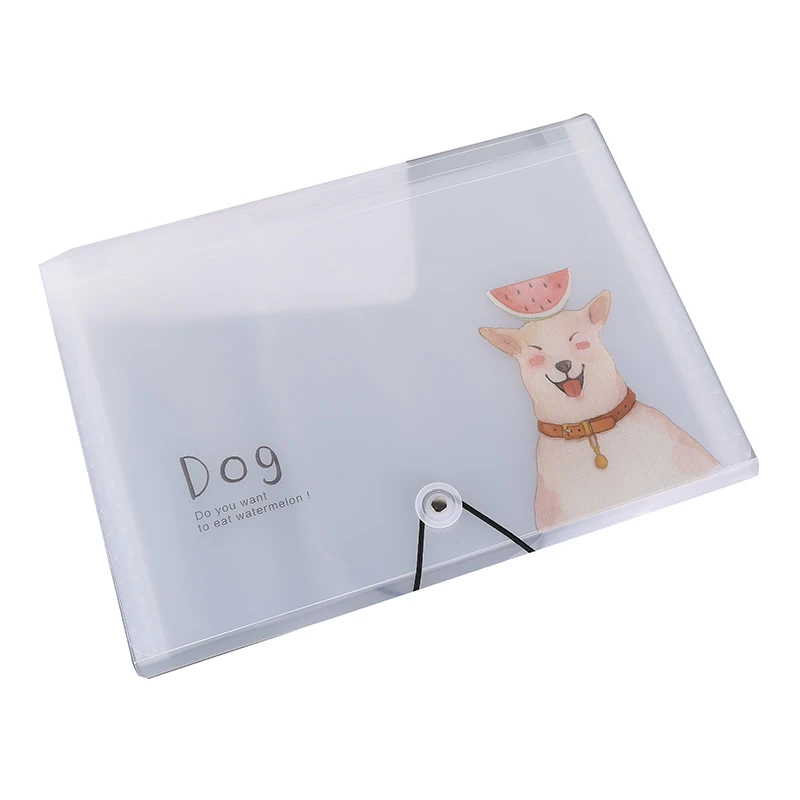 pp pockets plastic clear plastic file folder with the divider