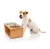 Import Premium Elevated Dog and Cat Pet Feeder, Double Bowl Raised Stand Comes with Extra Two Stainless Steel Bowls from China