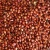 Import PREMIUM GRADE CLEANED RED SORGHUM NOW AVAILABLE from France