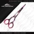 Import professional hairdressing hair cutting barber scissors + razor from Pakistan