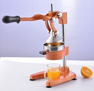 Professional Industrial Fruit Juice Extractor Machine