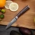 Professional Paring Knife 3.5 Inch Japanese Stainless Steel Ultra Sharp Kitchen Knives