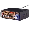 Professional Portable Public Address Audio Power Amplifier Home DC12V AC110/220V With 2MIC Usd TF Blue Tooth FM