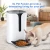 Import Programmable Food Timer Feeder Round Timing Dog Automatic Pet Feeder from China
