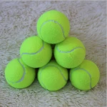 Promotional Customized OEM Inflated Training Tennis Ball