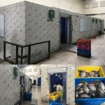 PU Panel Ice Makers & Frozen Shrimp Freezer Cold Room