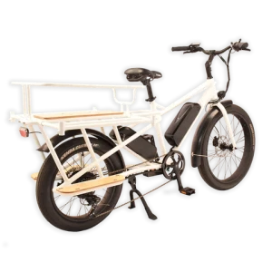 RaiderWagon-602s 500W/750W Family cargo ebike 48v26ah Dual battery mother and baby electric bike