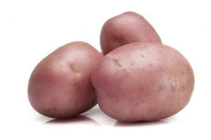 Red Skin Fresh potatoes from Bangladesh In Wholesale Price