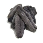 Sea Cucumber, Fresh Dried Sea Cucumber