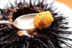 Sea Urchin