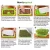 Import Seed Sprouter Tray BPA Free PP Soilless Bean Sprout Grower Seedlings Germination Tray Sprouting Kit for Garden Home Use from China