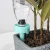 Import Self automatic flower watering pot from China