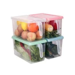 Simple Plastic Preservation Crisper Transparent Grain Dried Fruit Snacks Storage Organizer Fresh Box Bins With Handle Kitchen