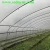 Import Singel-Span Plastic Film Cover  Small Lean Agricultural to Greenhouse from China