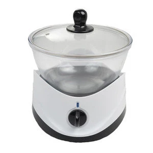Slow cooker with stand and glass lid