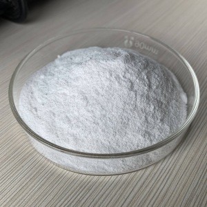 SODA ASH  497-19-8 Sodium carbonate