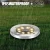 Import Solar Powered Ground Lights 4 LED 8LED 12LED Solar Path Lights Outdoor Waterproof for Lawn Yard Driveway Patio Walkway from China