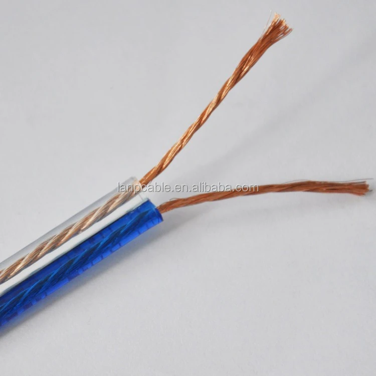 Speaker Cable with Blue Stripe
