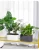 Import SQ22 Family Balcony Water Absorbing Pots Indoor Water Storage Flower Plastic Pot Bedroom Lazy Self Watering Flower Pot from India