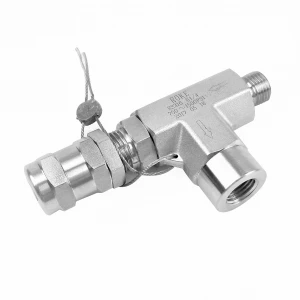 Stainless Steel SS316 Male to Female Thread High Pressure Reief Valve