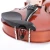 Import STARWAY Cheap 2/4 3/4 4/4 Basswood violin Music Instrument with violin case for Beginner and children from China