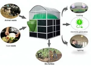 Teenwin New Portable DIY biogas from poultry manure
